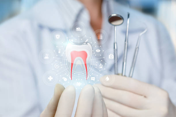 Trusted Westville, IN  Holistic Dental Services Experts